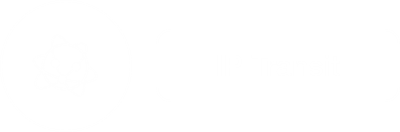 IP transit