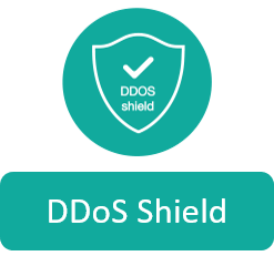 DDoS shield