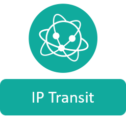 IP transit